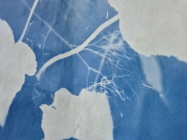 IMAGE 2024-11-24 18_41_47.jpg